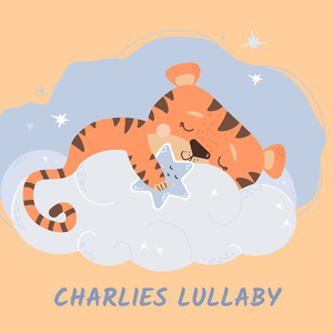 超级女教官布兰迪电影
