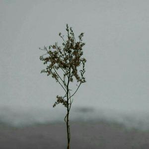 超级女教官布兰迪电影
