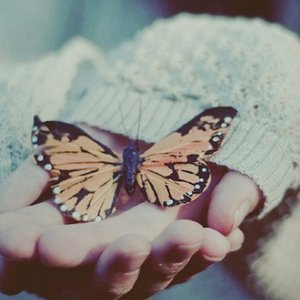 超级女教官布兰迪电影
